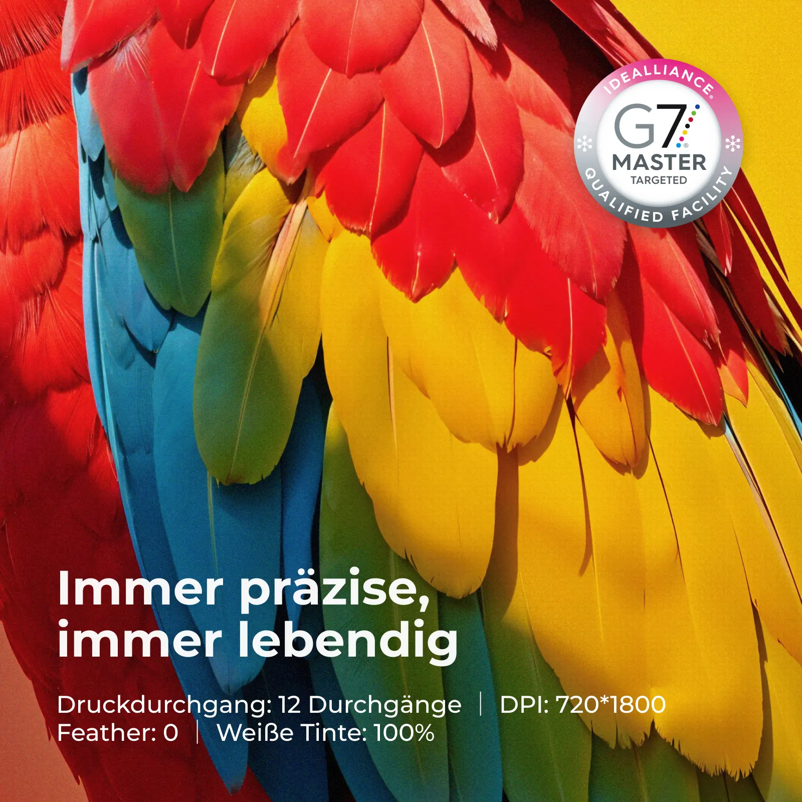 xTool Apparel Printer All-in-1 Bundle xTool Apparel Printer All-in-1 Bundle